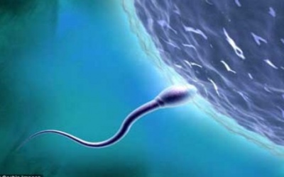 Làm cha khi tuổi cao cũng tiềm ẩn nguy cơ rủi ro cho con