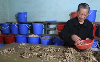 Làng thuốc trăm năm của người Sán Dìu