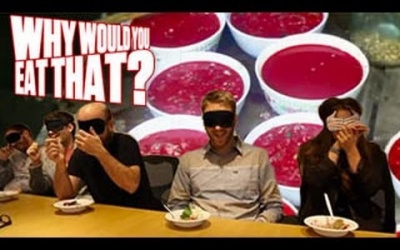 Chuyện những người không sợ dịch cúm gia cầm