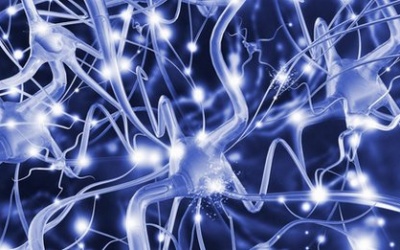 Nguy cơ đa xơ cứng từ bệnh béo phì và thuốc tránh thai