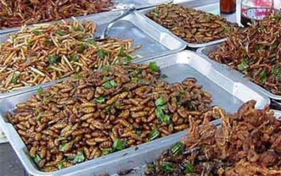 Những thực phẩm của tương lai