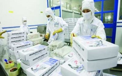 Triển lãm Propak và Plastics & Rubber 2014 sắp diễn ra tại TP HCM