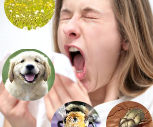 Tỷ lệ viêm mũi dị ứng ngày càng tăng cao