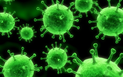 Vi khuẩn trở thành 'vũ khí' chống ung thư