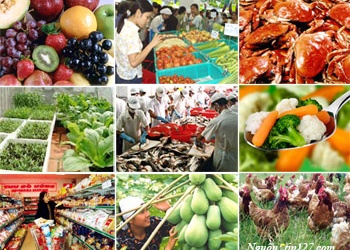 Hơn 50% cơ sở sai phạm trong quản lý an toàn thực phẩm