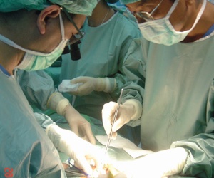 Chuyên gia ghép tạng hàng đầu tại Bỉ 'đầu quân' tại BV Hà Tĩnh