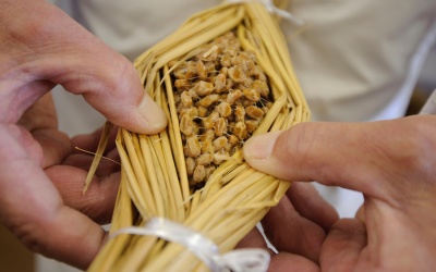 Natto - Món ăn độc đáo của người Nhật Bản