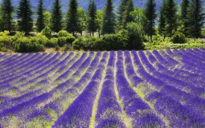 100 'chuyến đi' không thể bỏ qua