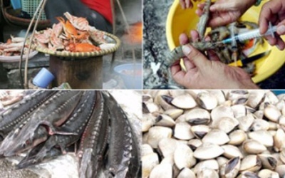 Thủy sản tươi ngon vì... nhiễm độc