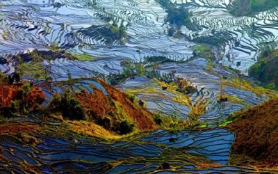 Ruộng bậc thang Nguyên Dương trong mùa nước đổ