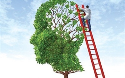 Dưỡng não khi não chưa mệt