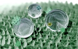 Cảm biến nano cơ học phát hiện nồng độ kháng sinh trong máu