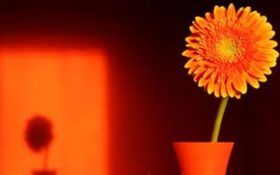 Ánh sáng màu da cam kích thích não