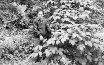 Ông lang 'khắc tinh' của rắn độc