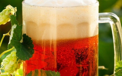 Lá cây hoa bia có khả năng chữa bệnh