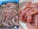 Độc lạ món ngon từ 'cá dương vật'