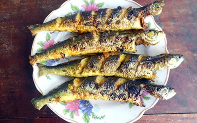 Nao nức mùa cá chuồn đất Quảng