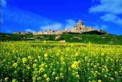 Những quốc gia nhỏ nhất thế giới