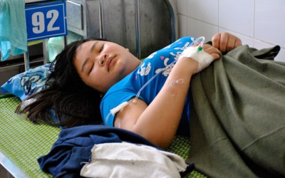 6 người nhập viện vì ong đốt