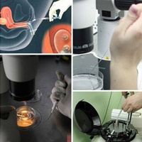 Các bước thụ tinh ống nghiệm