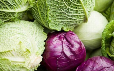 Ăn bắp cải ngừa bệnh tật