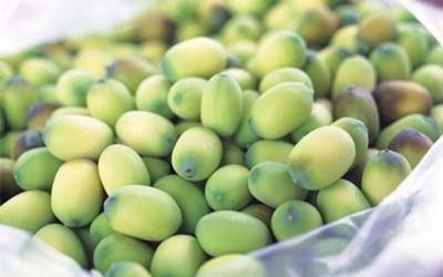 Những bài thuốc trị chứng mất ngủ đặc biệt công hiệu