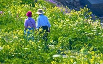 Vấn đề an toàn tình dục khi tuổi cao