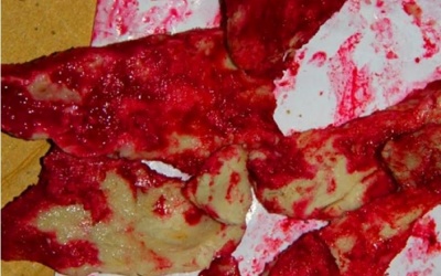 Kết luận vụ thịt luộc đỏ như máu