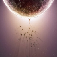 Tinh trùng yếu - khỏe do... mùa