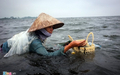 Những người dậm trìa trên Phá Tam Giang