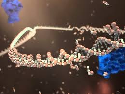 Hy vọng mới cho bệnh nhân ung thư