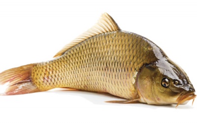 Chế độ ăn uống phù hợp cho người bị ung thư