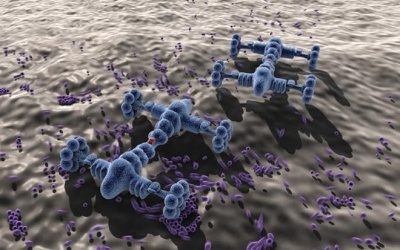 Cấy nanobot vào gián để thử nghiệm điều trị khối u