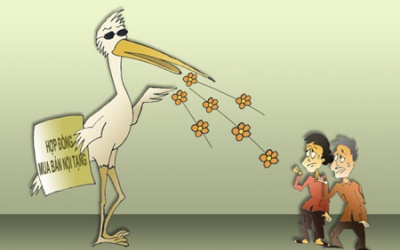 Cần Thơ: Chỉ đạo kiểm tra vụ hiến, bán thận