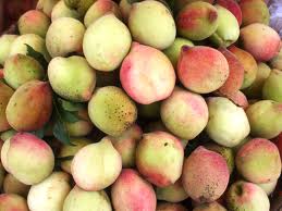 Những hoa quả không nên ăn nhiều trong mùa hè