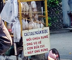 'Sung dược' chốn phòng the bán đầy đường