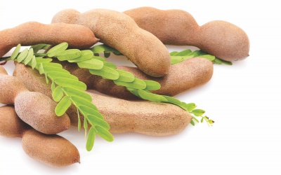 Trái me: không chỉ khoái khẩu mà còn