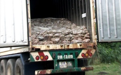 Quảng Trị: Phát hiện xe container chở 25 tấn 'cá thối'