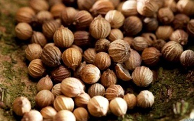 Sự thật về bài thuốc '10 phút khỏi bệnh sởi'