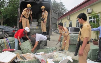 Hà Nội: Bắt xe tải vận chuyển cá thối chuẩn bị tung ra thị trường