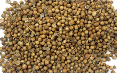 “Hạt mùi chỉ giúp bệnh sởi mọc nhanh hơn”