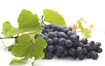 6 công dụng làm đẹp của dầu hạt nho