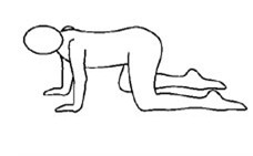 Bài tập cho cơ lưng