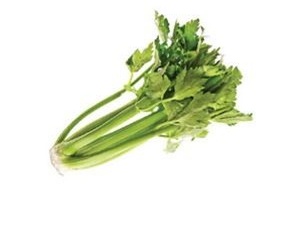 Mỗi bài tập mỗi dáng vóc