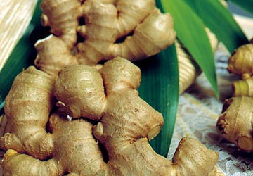 Tự chế bài thuốc phòng chống bệnh sởi theo đông y