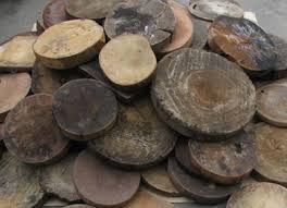 Thớt, ổ chứa mầm bệnh