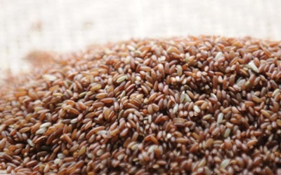 Ăn gạo lứt: Tốt đến đâu? Ăn thế nào đúng cách?