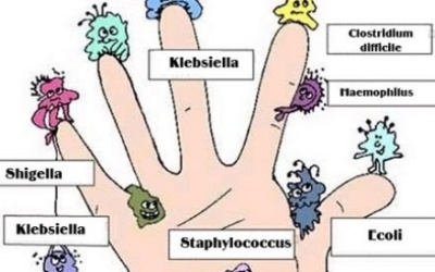 150 loại vi khuẩn 'rình rập' trên bàn tay bạn