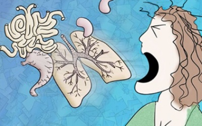 'Ăn bậy' có thể làm giảm chức năng phổi