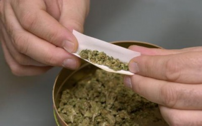 Những cái chết được báo trước từ cần sa